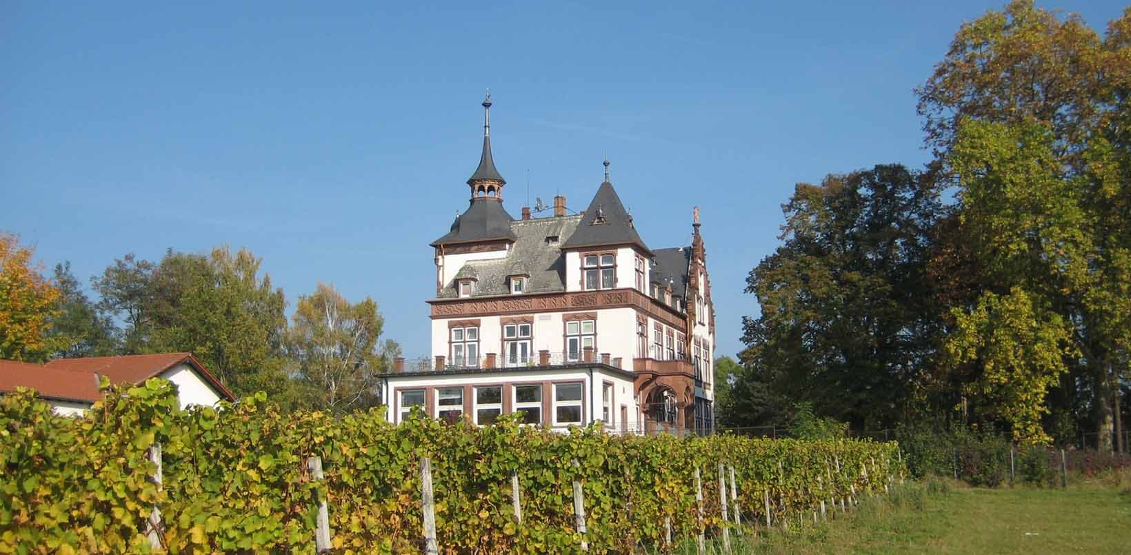 Sanierung Villa Höchst