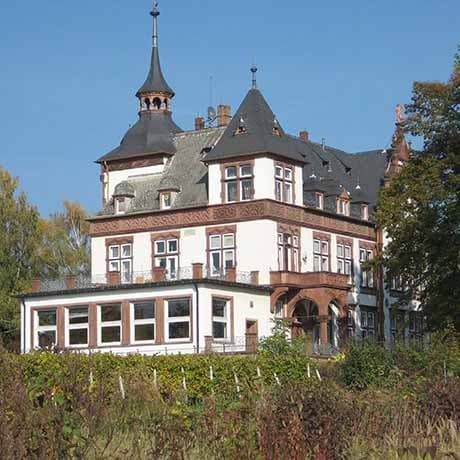 Sanierung Villa Höchst